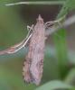 311697 – Photo : Liliane Delattre – France (30)